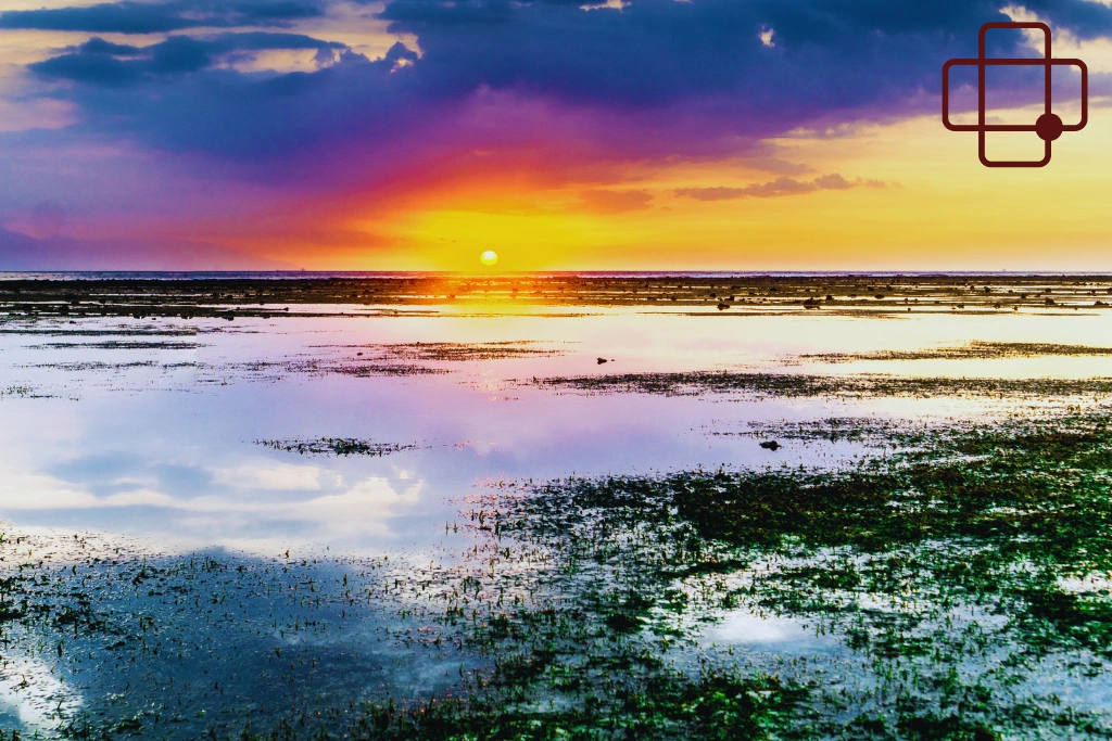 Conclusion - Best Medical Treatment for Jellyfish Sting in Lombok_ What Tourists Can Expect