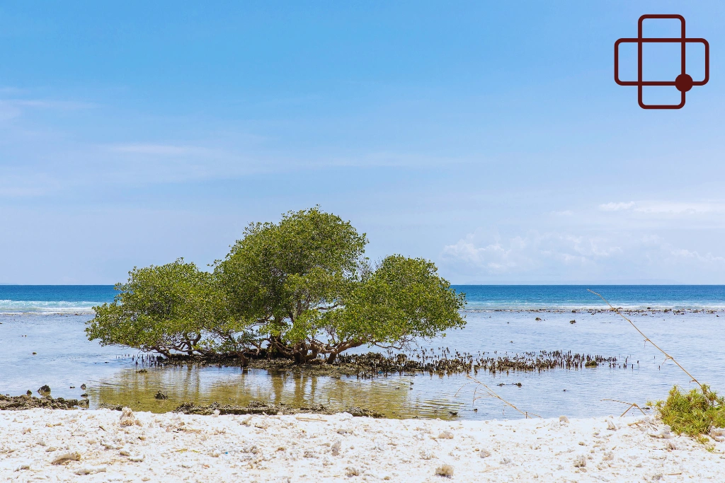 Conclusion - Coral Cuts Infected After Snorkeling in Lombok_ Why It Happens