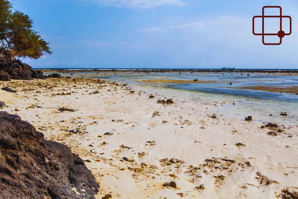 Conclusion - Diving While Sick in Lombok_ Is It Safe to Continue