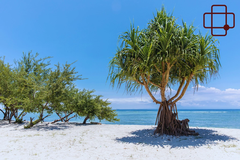 Conclusion - Water Stuck in Ear After Diving Lombok_ When Pain Is a Warning