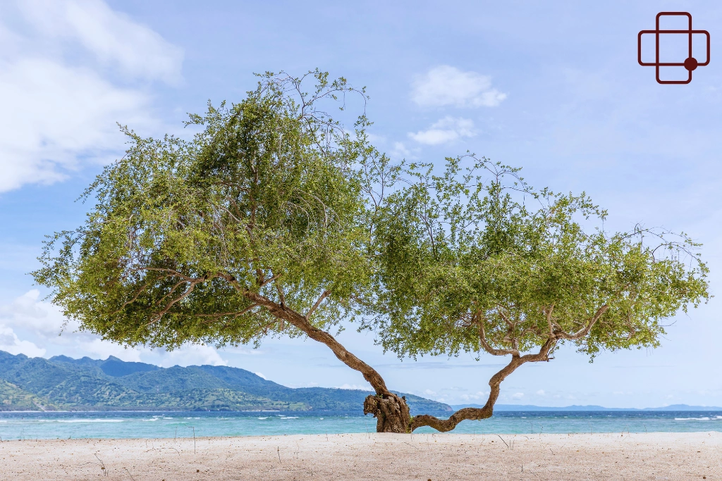 Conclusion_ Difficulty Concentrating in Lombok While Traveling