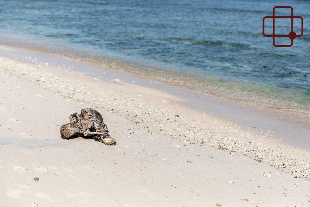 Conclusion_ Drinking Water Not Helping in Lombok_ Here’s Why