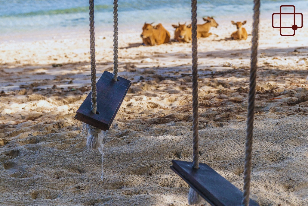 Conclusion_ Heart Racing After Walking in Lombok