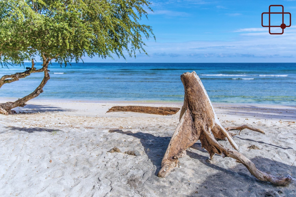 Conclusion_ Why Mild Nausea in Lombok Happens During Beach Days