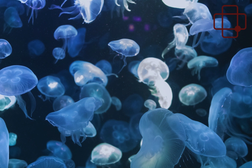 When Burning Skin Is More Than Simple Irritation