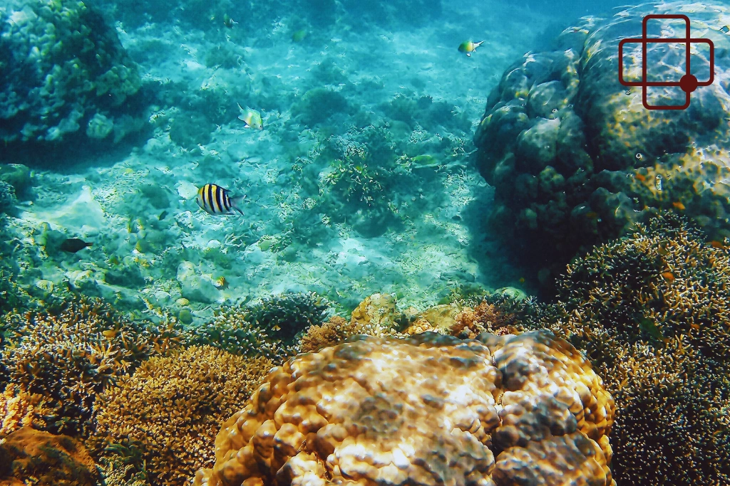 Which Symptoms Are Commonly Overlooked by Divers